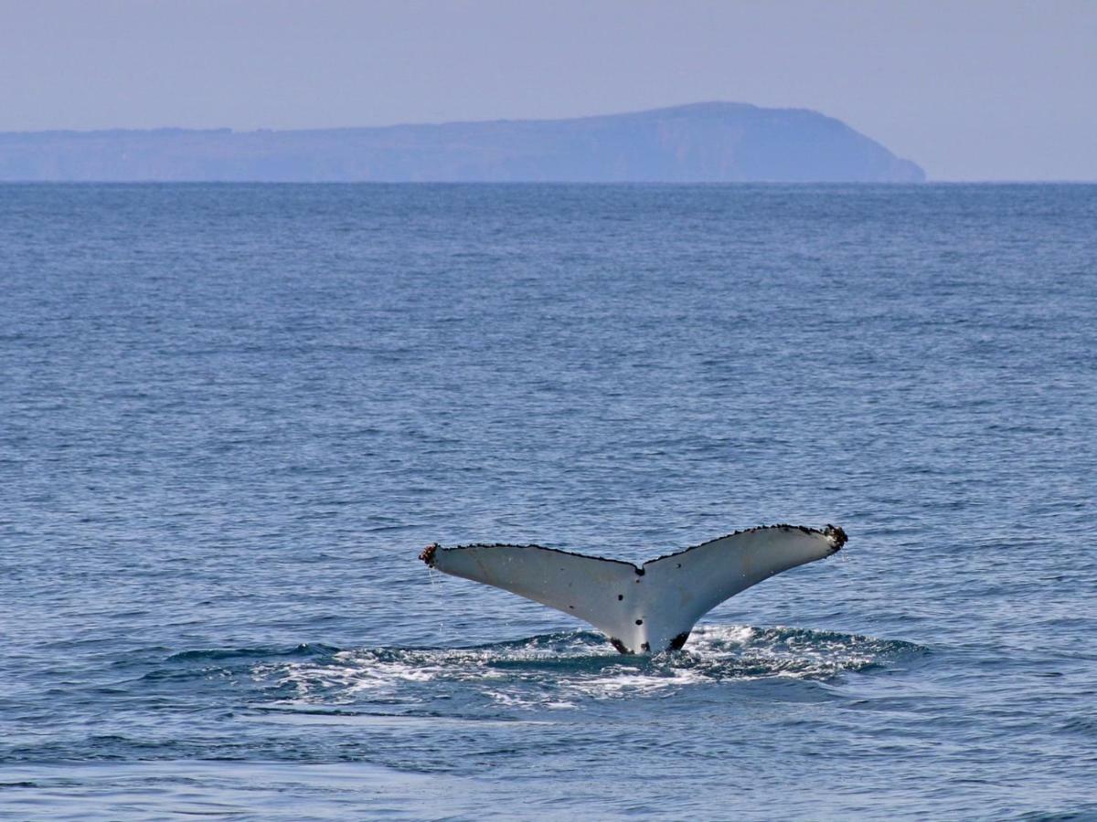 Вилла The Grampian Phillip Island Коув Экстерьер фото