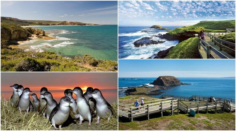 Вилла The Grampian Phillip Island Коув Экстерьер фото