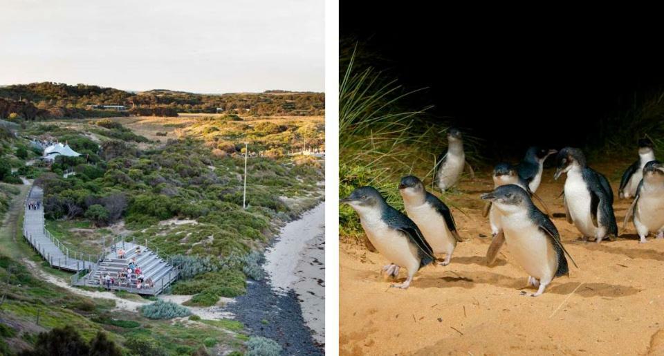 Вилла The Grampian Phillip Island Коув Экстерьер фото